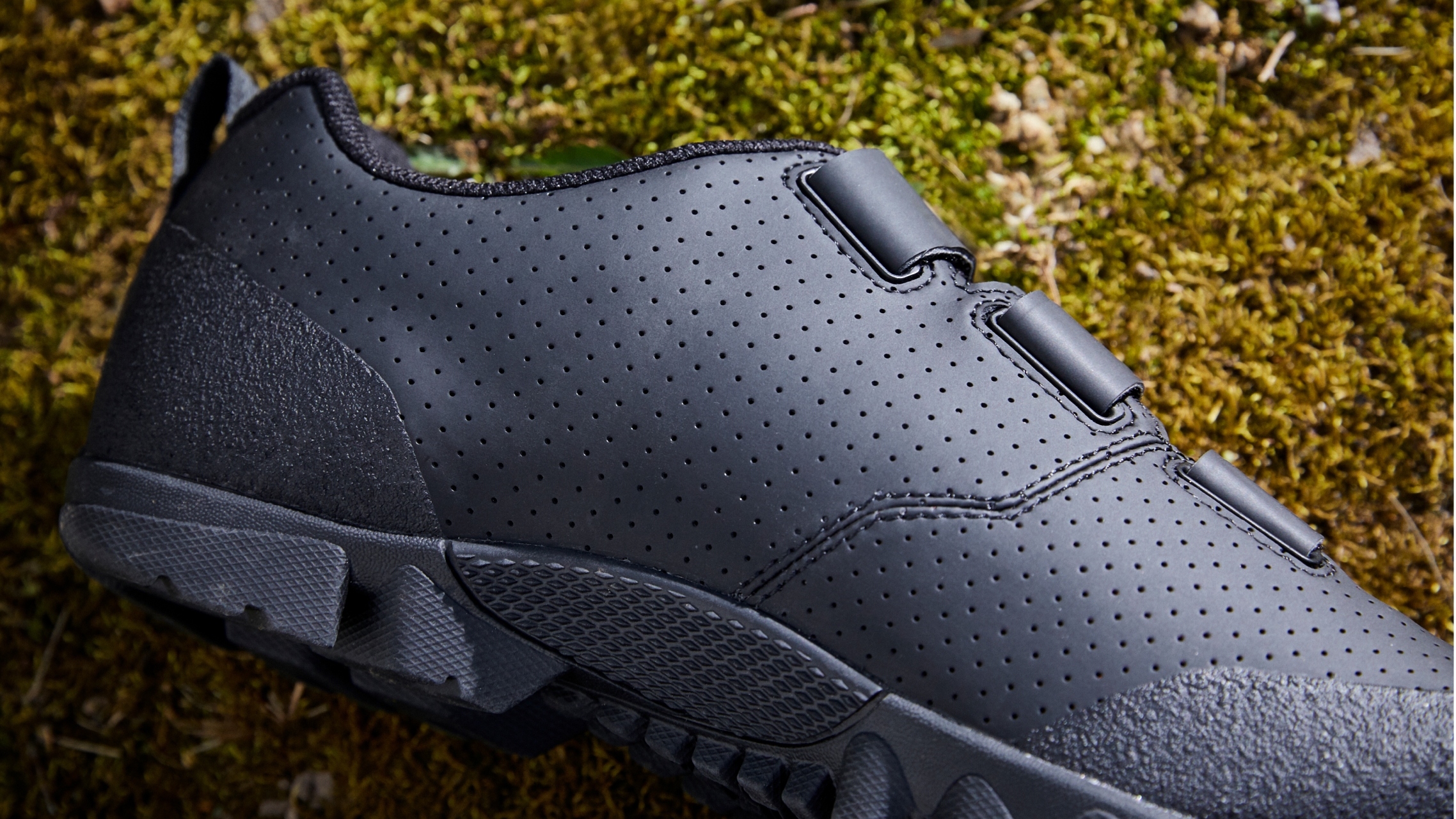 Schuh Quantum