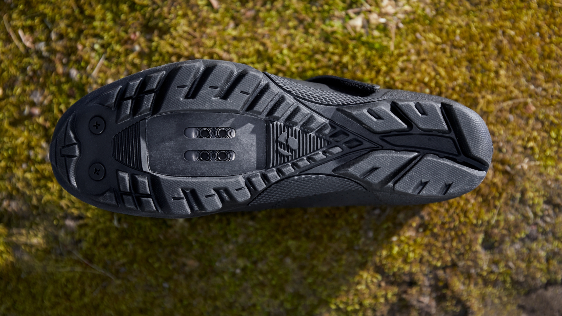 Schuh Quantum