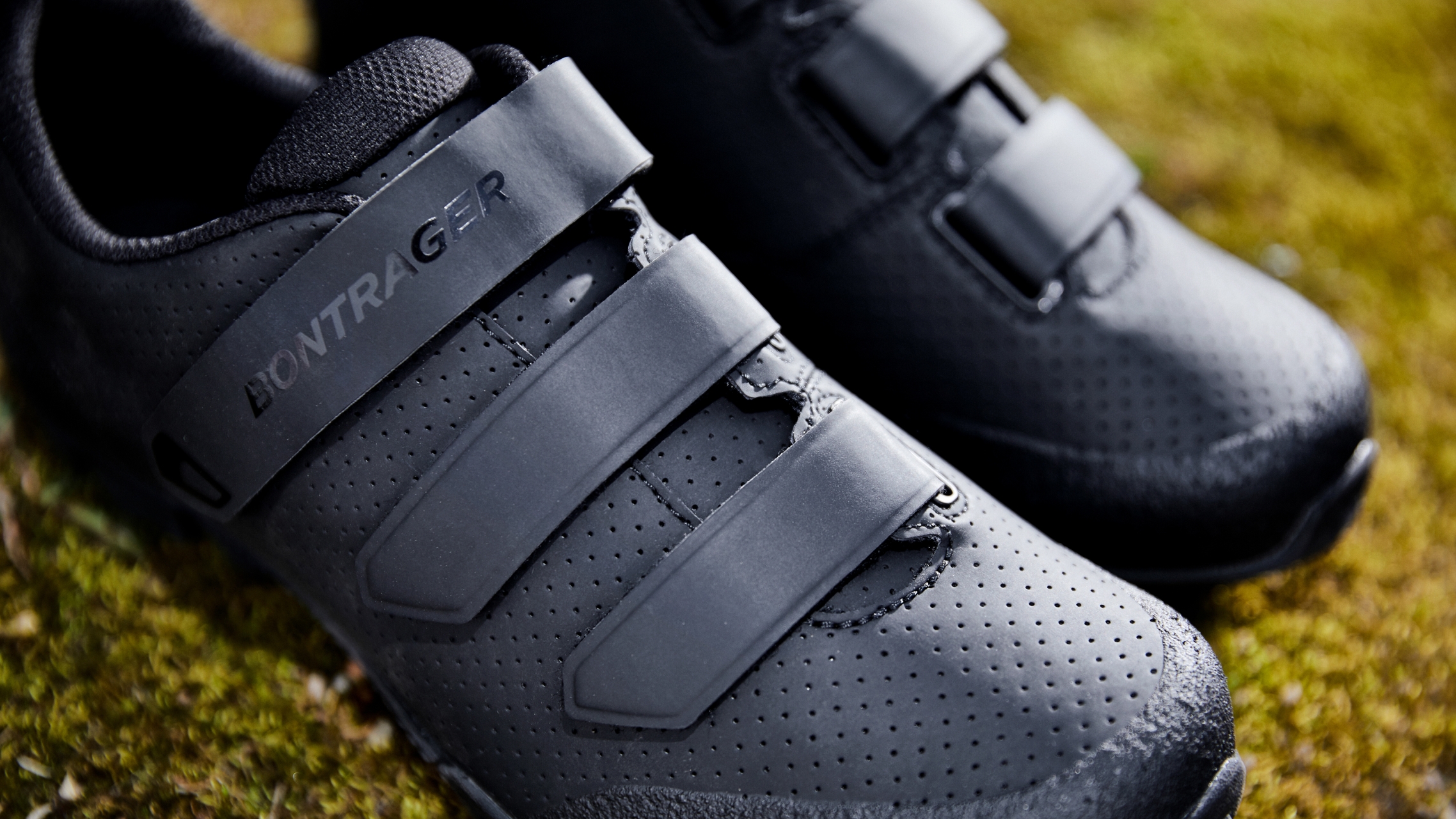 Schuh Quantum