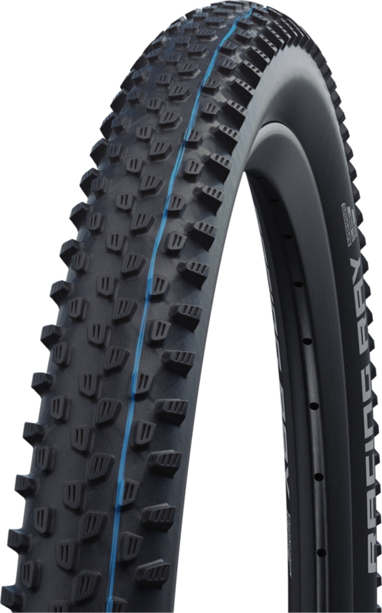 Fahrradreifen Racing Ray HS 489
