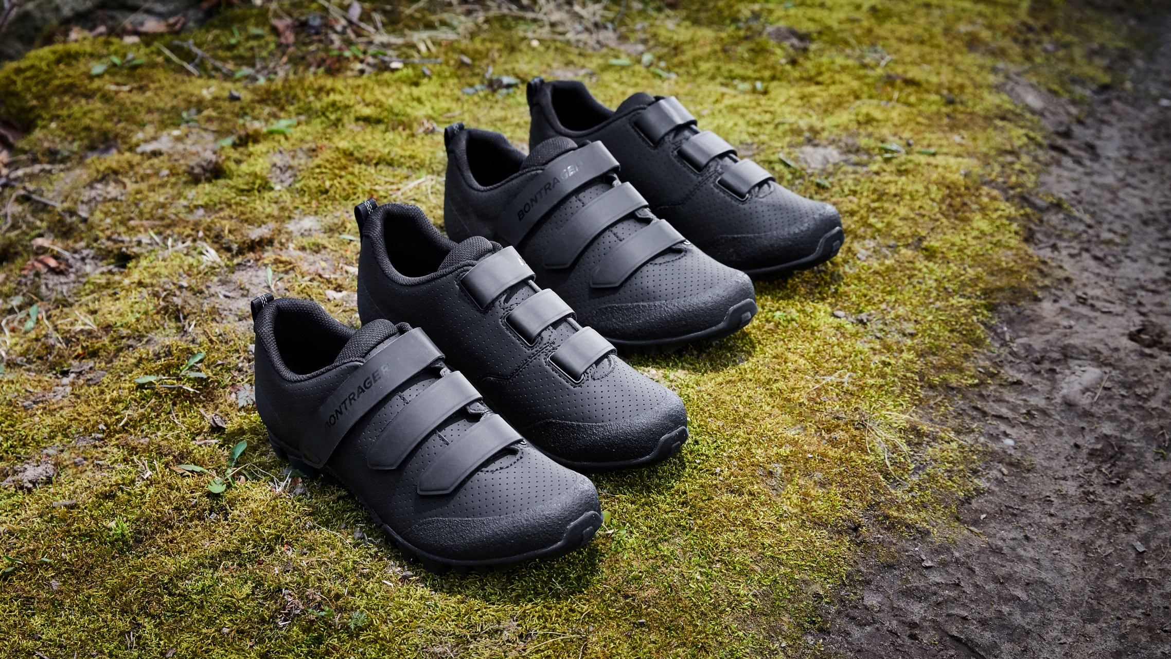 Schuh Quantum
