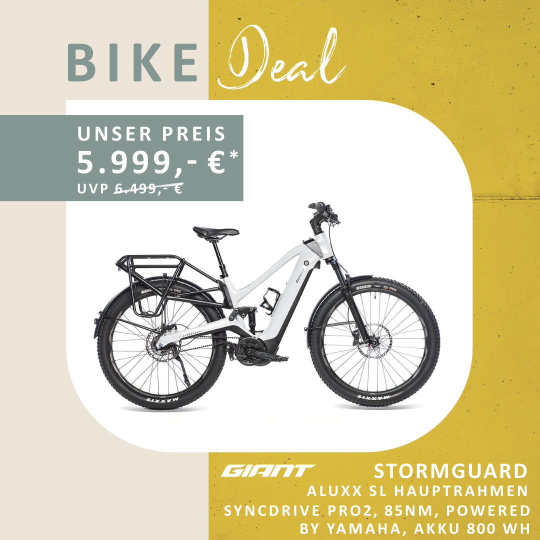 freisteller_bike_deal_giant